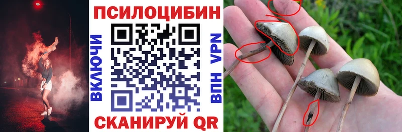 Галлюциногенные грибы мицелий  где продают   Светлый 